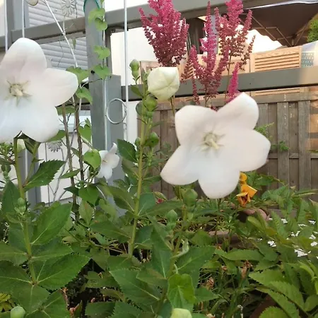 Apartment Selenza By Na Dni