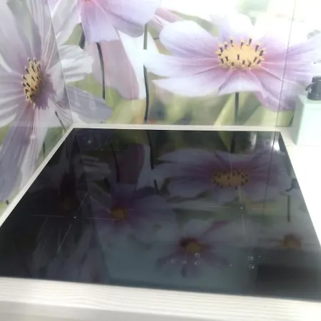 Selenza By Na Dni Vratislav