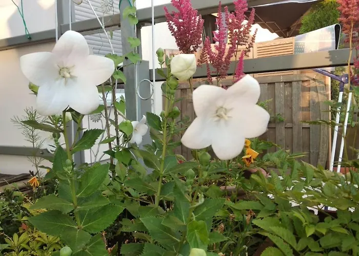 Apartment Selenza By Na Dni